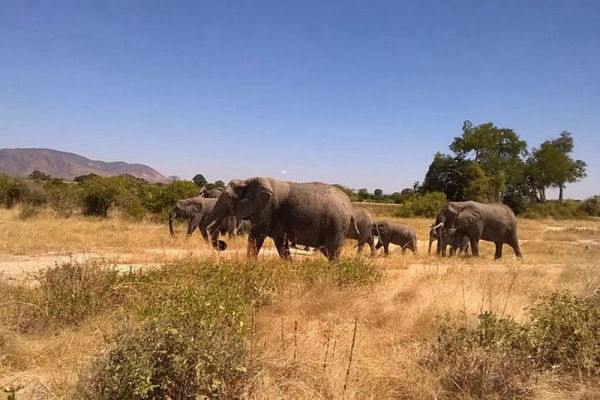 Katavi National Park
