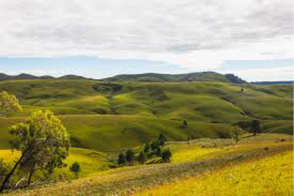 Kitulo National Park