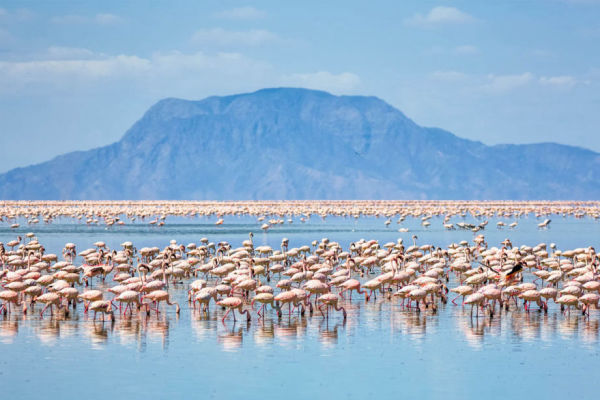 Lake Natron