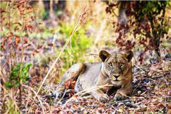 Lukwati Protected Wildlife Area