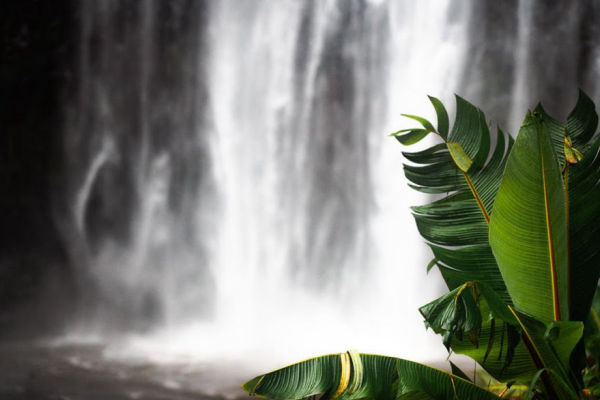 Materuni and Kuringe Waterfalls