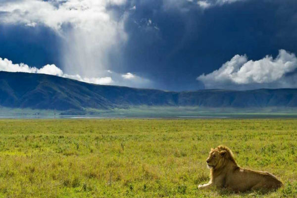 Ngorongoro Conservation Authority Area