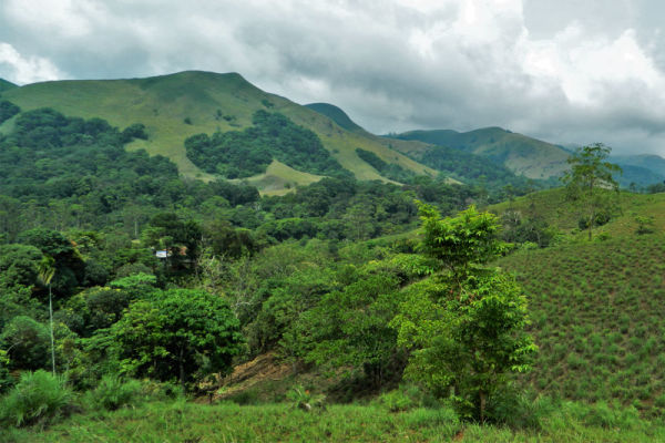 Nyumba Nitu Natural Forest