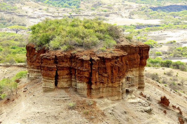 Olduvai Gorge & Laetoli