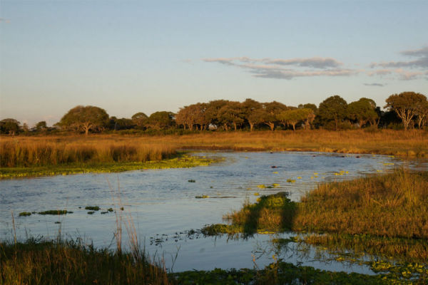 Rukwa National Wildlife Reserve