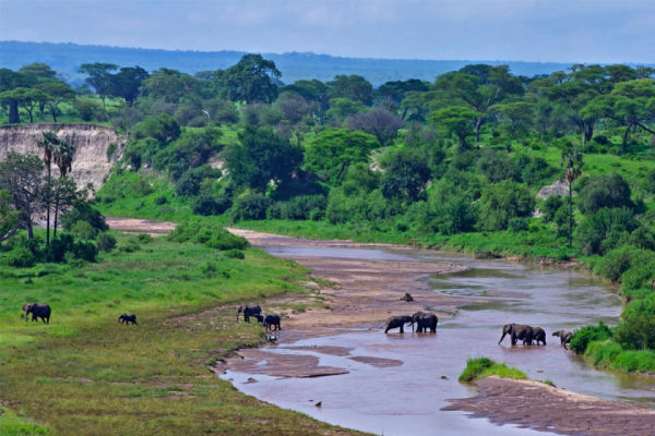 Tarangire National Park
