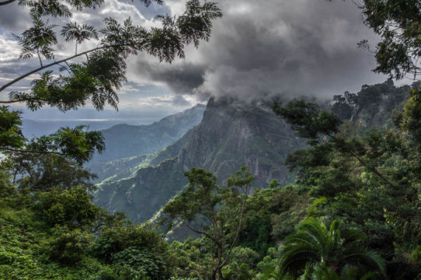 The Nature Forest Reserve